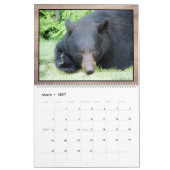 Schwarzbär - Kubby-Liebe 2025-Kalender Kalender (Mär 2027)