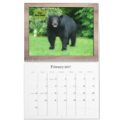 Schwarzbär - Kubby Liebe Spaß 2025 Kalender (Feb 2027)