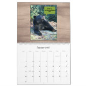 Schwarzbär - Kubby Liebe Spaß 2025 Kalender (Jan 2027)