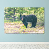 Schwarzbär Leinwanddruck (Insitu (Holzboden))