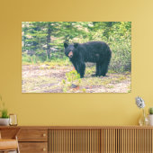 Schwarzbär Leinwanddruck (Insitu (Wohnzimmer))