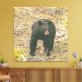 Schwarzbär Leinwanddruck (Insitu (Wohnzimmer))