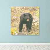 Schwarzbär Leinwanddruck (Insitu (Holzboden))