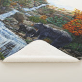 Schwarzbär Mutter und Cube Wasserfall Sherpadecke (3/4)
