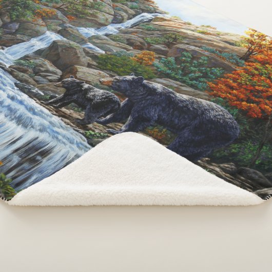 Schwarzbär Mutter und Cube Wasserfall Sherpadecke (3/4)