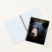 Schwarzbär Notizblock (Innenseite)