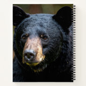 Schwarzbär Notizblock (Rückseite)
