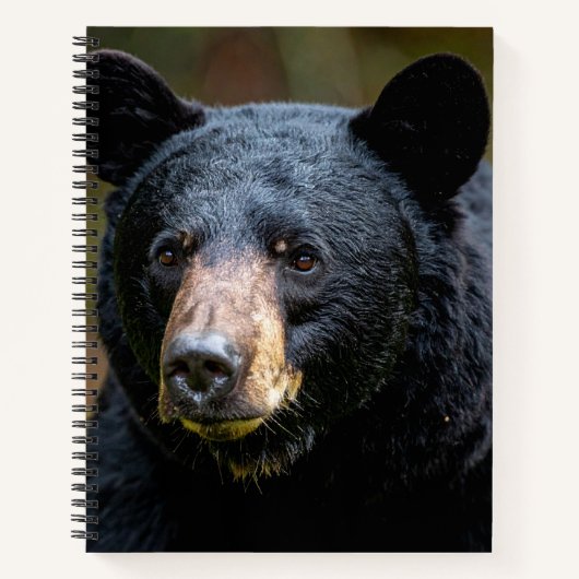 Schwarzbär Notizblock (Vorderseite)