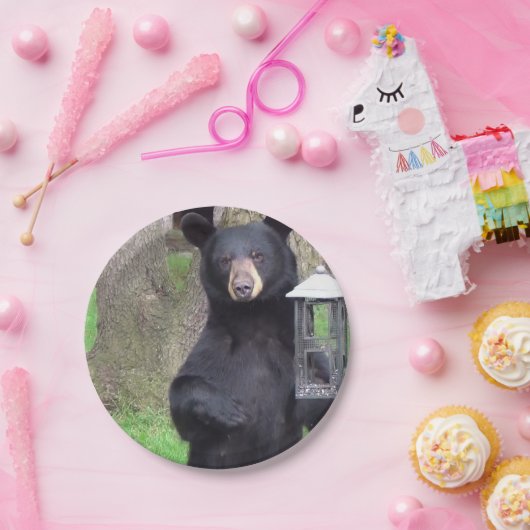 Schwarzbär Pappteller (Party)