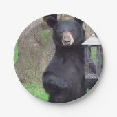 Schwarzbär Pappteller (Vorderseite)