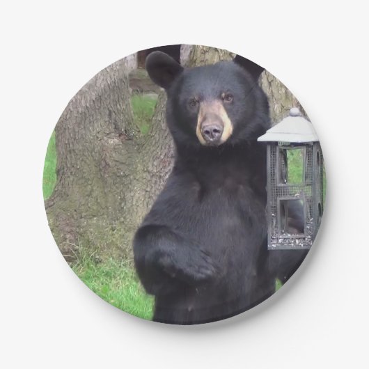 Schwarzbär Pappteller (Vorderseite)
