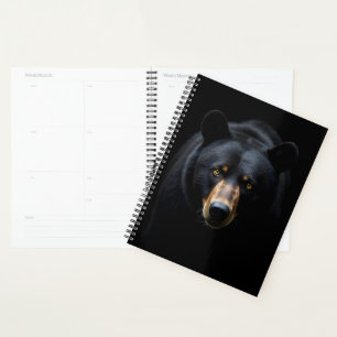 Schwarzbär Planer