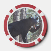 Schwarzbär Pokerchips (Rückseite)