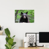 Schwarzbär Poster (Heimbüro)