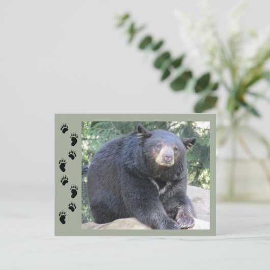 Schwarzbär Postkarte (Stehend Vorderseite)