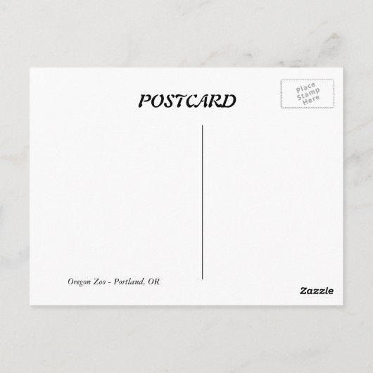 Schwarzbär Postkarte (Rückseite)