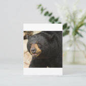 Schwarzbär Postkarte (Stehend Vorderseite)