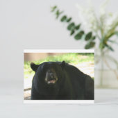 Schwarzbär Postkarte (Stehend Vorderseite)