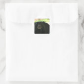 Schwarzbär Runder Aufkleber (Tasche)