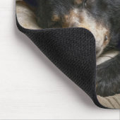 Schwarzbär schläft unter einer Steppdecke Mousepad (Ecke)