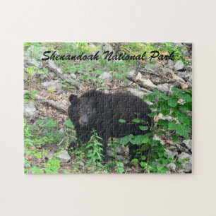 Schwarzbär Shenandoah Nationalpark Virginia Puzzle