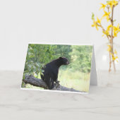 Schwarzbär sitzend Baum Karte (Gelbe Blume)