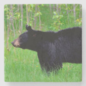 Schwarzbär Steinuntersetzer (Vorderseite)