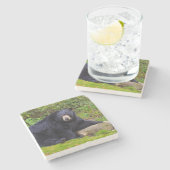 Schwarzbär Steinuntersetzer (Seitenansicht)