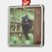 Schwarzbär, Ursus americanus, cub in einem Baum Ornament Aus Metall (Links)