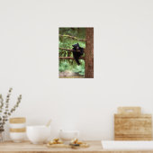 Schwarzbär, Ursus americanus, cub in einem Baum Poster (Küche)