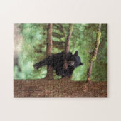 Schwarzbär, Ursus americanus, cub in einem Baum Puzzle (Horizontal)