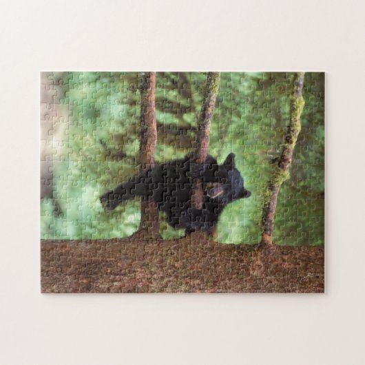 Schwarzbär, Ursus americanus, cub in einem Baum Puzzle (Horizontal)