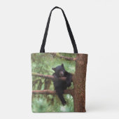 Schwarzbär, Ursus americanus, cub in einem Baum Tasche (Rückseite)