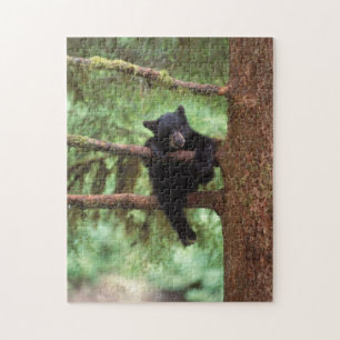Schwarzbär, Ursus americanus, Jungtier in einem Ba Puzzle