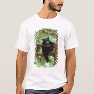 Schwarzbär, Ursus americanus, Jungtier in einem Ba T-Shirt