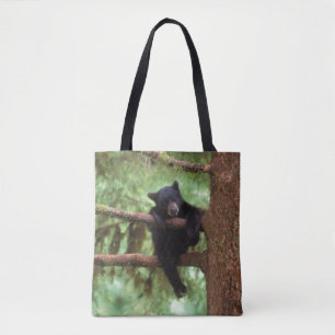 Schwarzbär, Ursus americanus, Jungtier in einem Ba Tasche