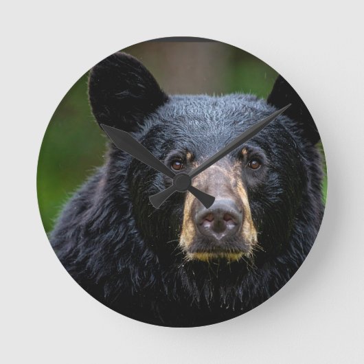 Schwarzbär-Wildnis-Design Runde Wanduhr (Vorderseite)