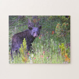 Schwarzbären Kanada. Puzzle