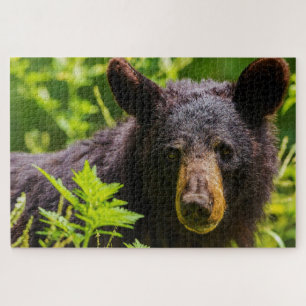 Schwarzbären. Puzzle