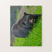 Schwarzbärenjagd, Jigsaw Puzzle (Vertikal)