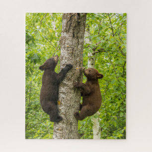 Schwarzbärenjunge klettern auf einen Baum Puzzle