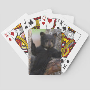 Schwarzbärenjunges ruht sich aus spielkarten