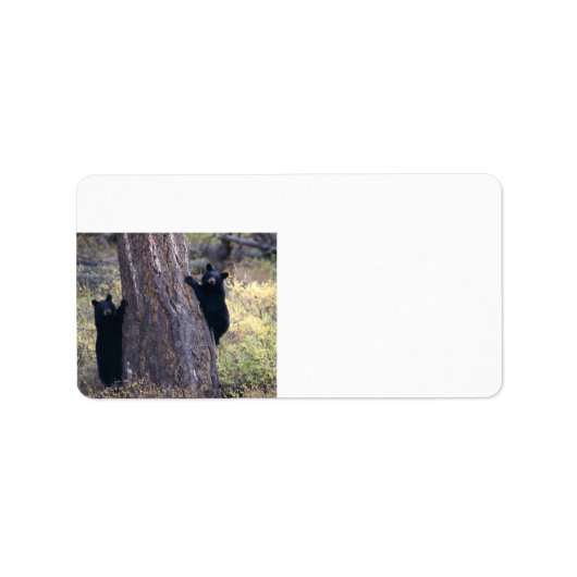 Schwarzbärenkuchen Adressaufkleber (Vorne)