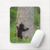Schwarzbärenkuppe | Große Smokygebirge Mousepad (Mit Mouse)