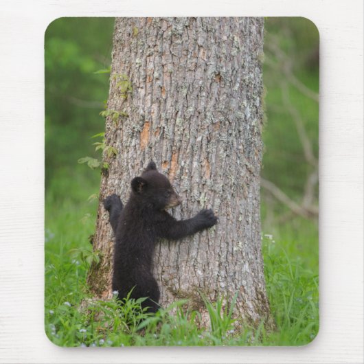 Schwarzbärenkuppe | Große Smokygebirge Mousepad (Vorne)