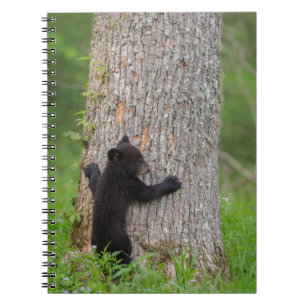 Schwarzbärenkuppe   Große Smokygebirge Notizblock