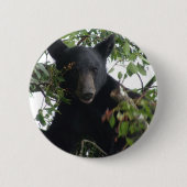 Schwarzbärenkuppe im Baum Button (Vorderseite)