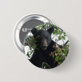 Schwarzbärenkuppe im Baum Button
