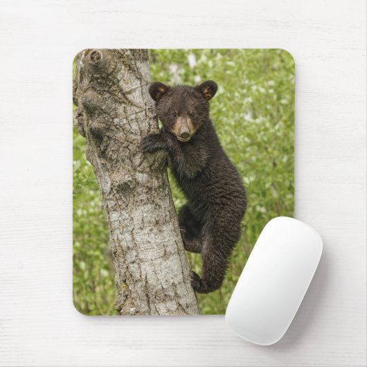 Schwarzbärenkuppe im Baum Mousepad (Mit Mouse)