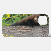Schwarzbärenkuppe im Springtime Case-Mate iPhone Hülle (Rückseite (Horizontal))